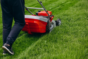 Know The Importance Of Gardening And Lawn Mowing Services!